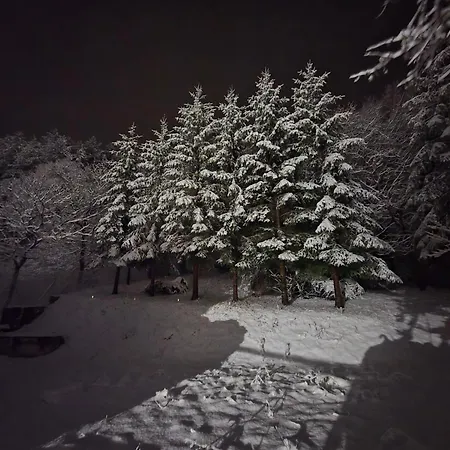 Semesterbostad La Dimora Di Ella Orsano