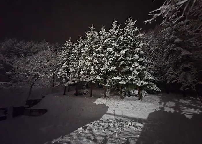 Semesterbostad La Dimora Di Ella Orsano